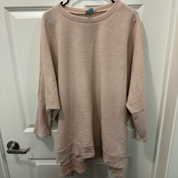 Oversized velour tunic from online boutique shop the mint. Super comfy and cozy! - Picture 1 of 3